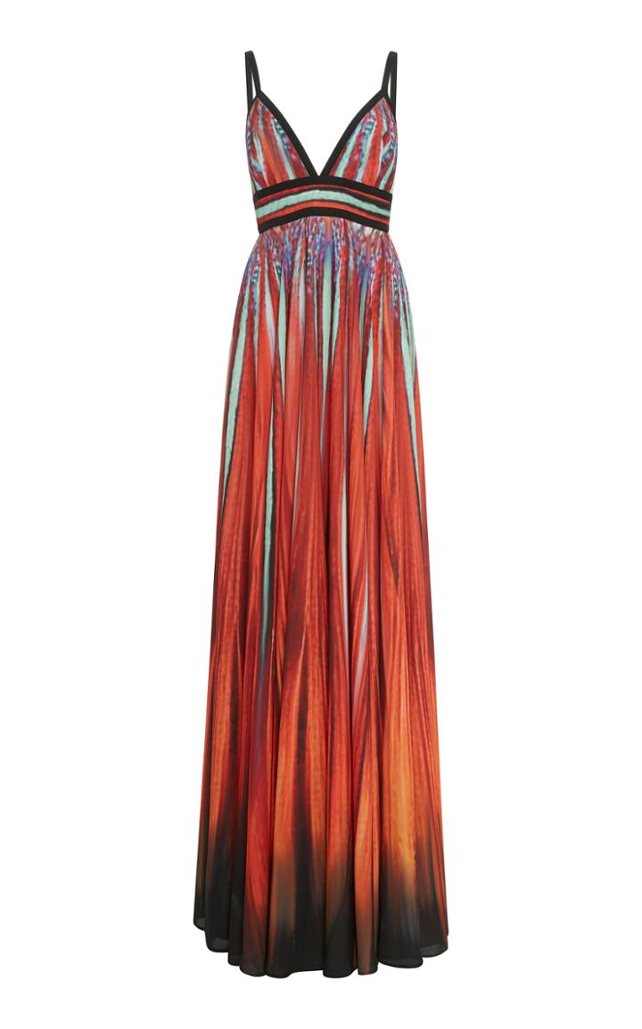 Elie Saab Printed V-neck Gown