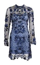 Thurley Rossellini Lace Mini Dress