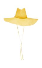 Clyde Poppy Straw Hat