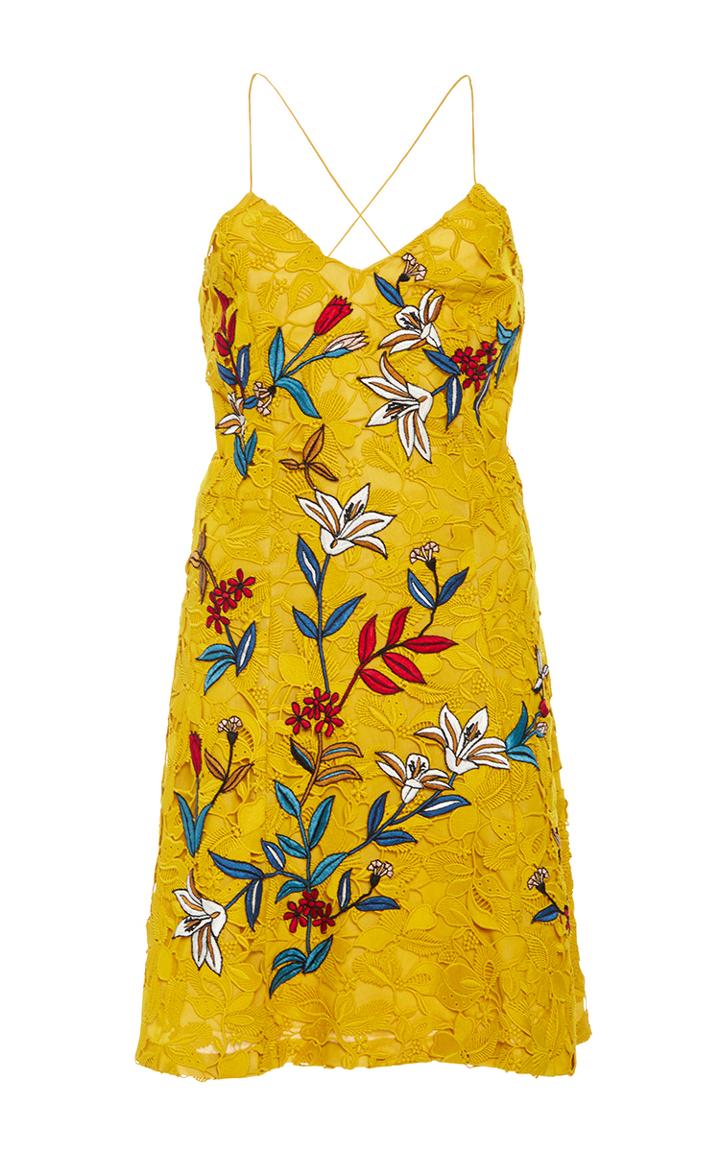 Sachin & Babi Covent Embroidered Lace Mini Dress