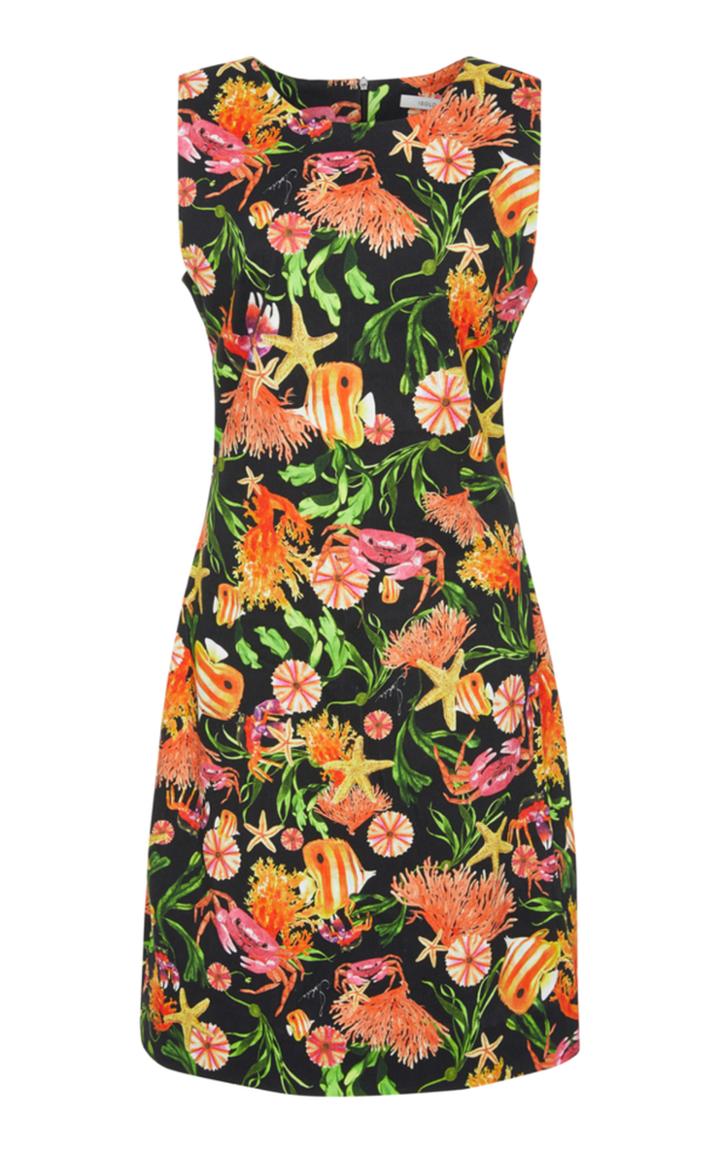 Isolda Sofie Corals Dress