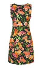 Isolda Sofie Corals Dress