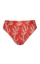 Moda Operandi Agua By Agua Bendita Arrecife Penelope Bikini Bottom