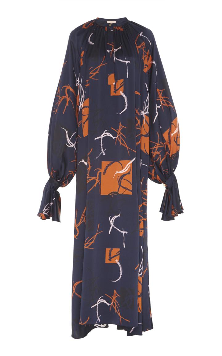 Roksanda Mesina Printed Silk Dress