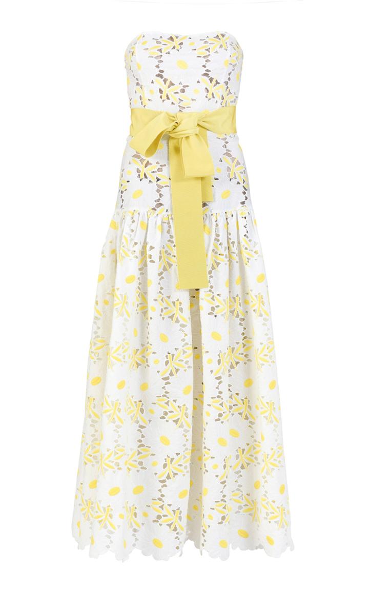 Moda Operandi Silvia Tcherassi Breakers Floral Embroidered Lace Dress