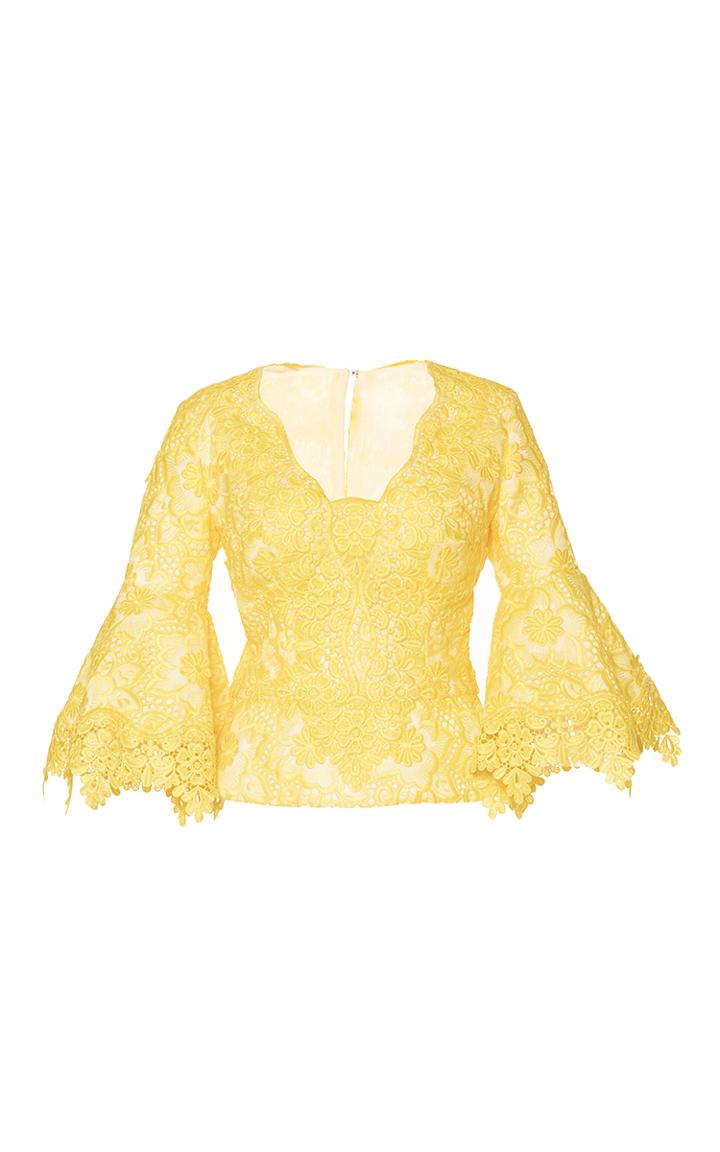 Costarellos Brocade Organza V-neck Top