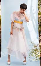 Moda Operandi Nevenka She Comes From Dreamtime Embroidered Dress