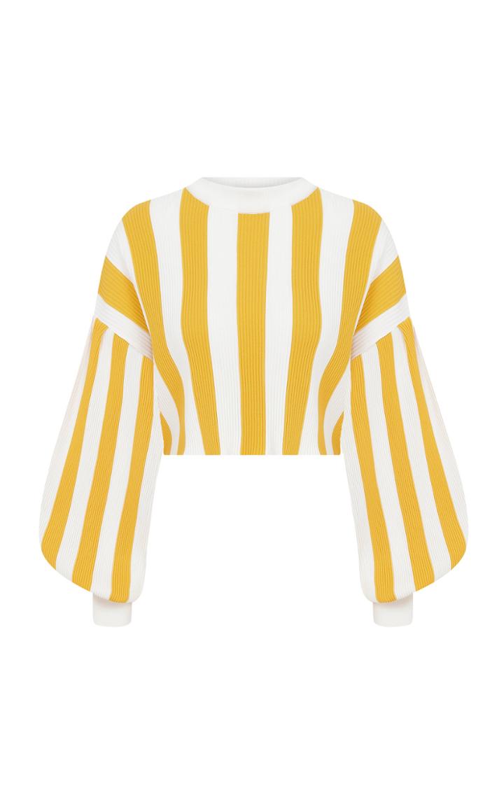 Moda Operandi Raisa Vanessa Striped Knit Crop Sweater