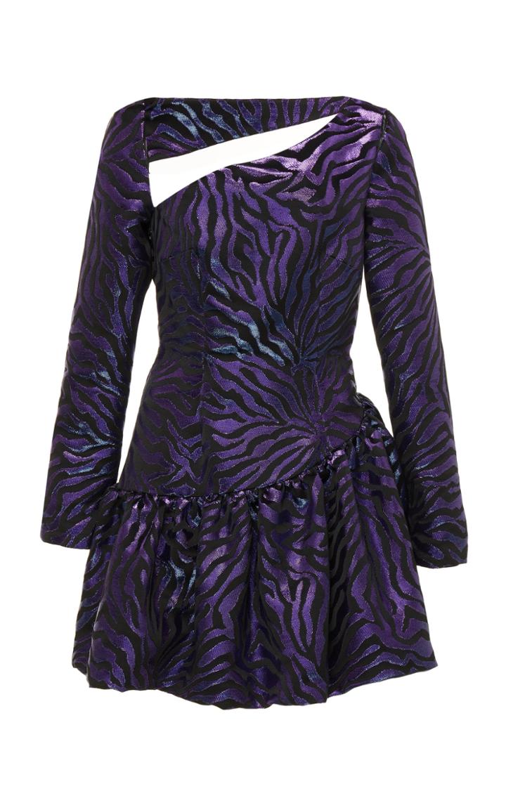 Nervi Cara Long Sleeve Mini Dress
