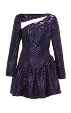 Nervi Cara Long Sleeve Mini Dress