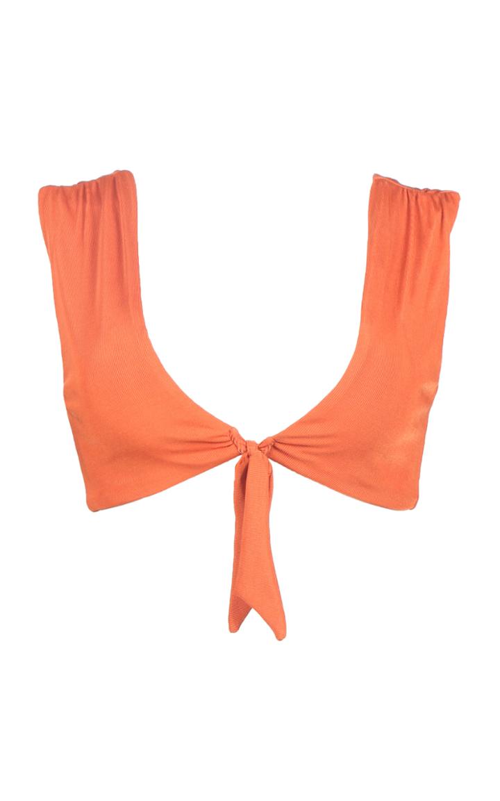 Palmacea Earth 31 Bikini Top
