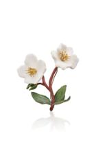 Moda Operandi Luz Camino White Helebore Brooch