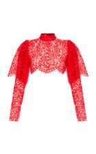 Rasario Lace Cropped Top