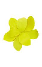 Esme Vie Iris Maxi Brooch