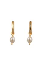 Moda Operandi Valre Gold-plated Lani Pearl Earrings