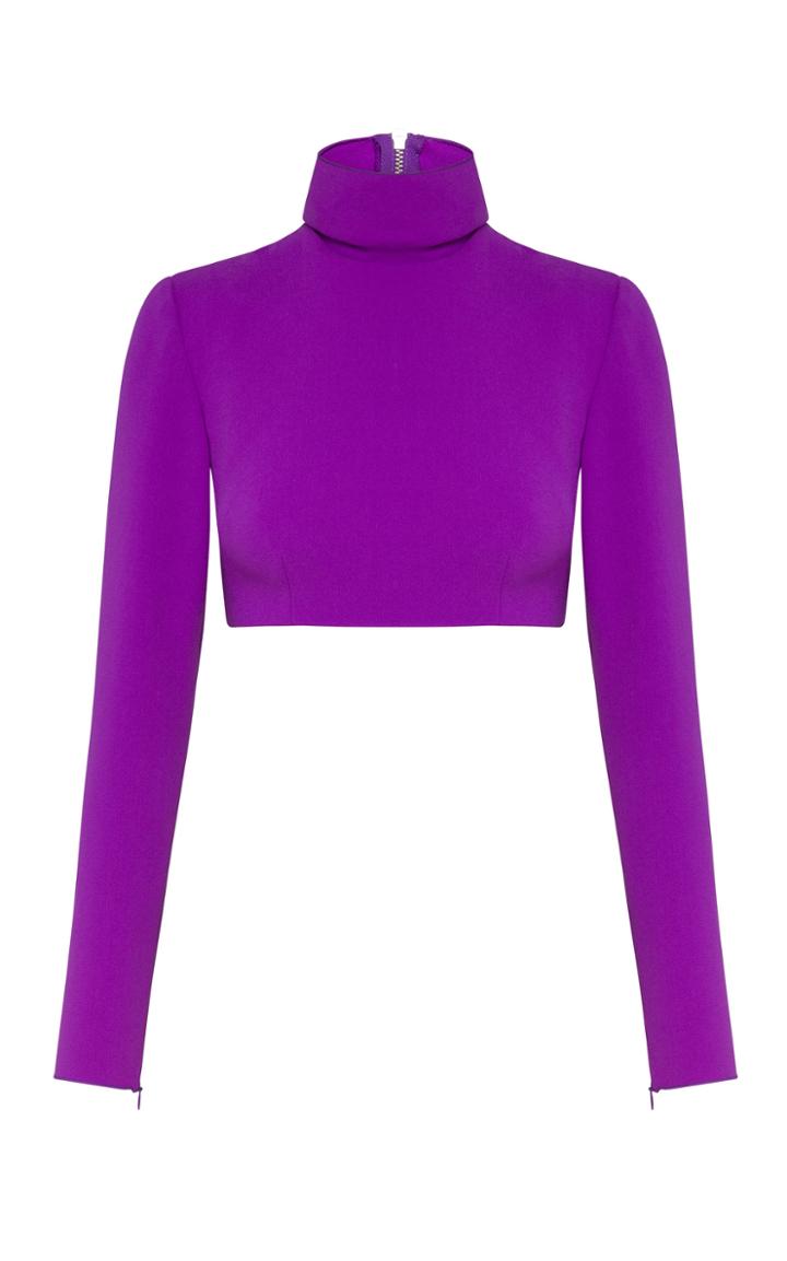 Moda Operandi Alex Perry Cruz Stretch Crepe Turtleneck Crop Top