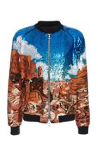 Balmain Embroidered Canyon Bomber