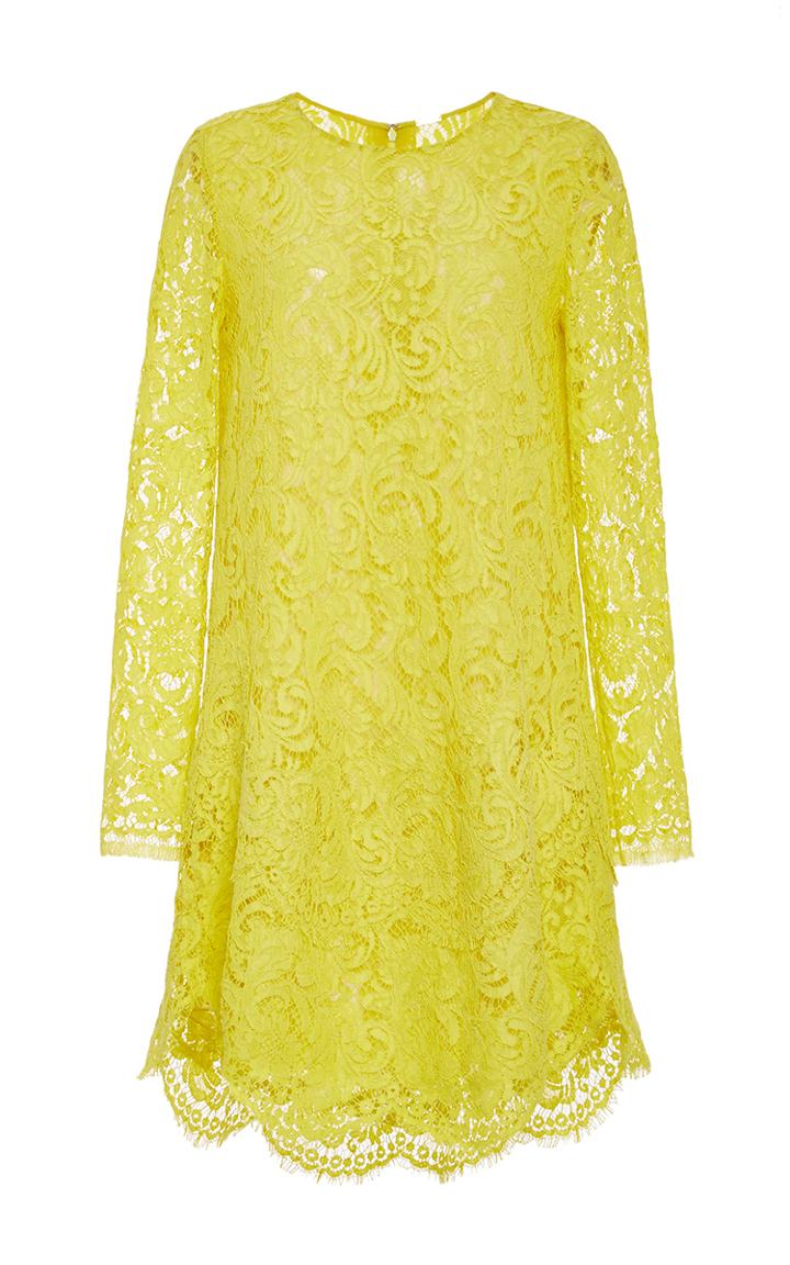 Adam Lippes Corded Lace Trapeze Dress