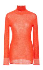 Victoria Victoria Beckham Sheer Ribbed Turtleneck