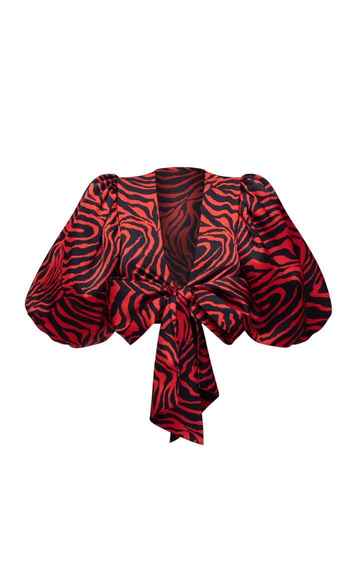 Moda Operandi Rasario Zebra-print Satin Top And Skirt Set