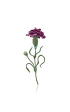 Luz Camino Violet Carnation Brooch