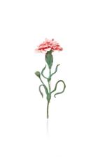 Moda Operandi Luz Camino Pink Carnation Brooch