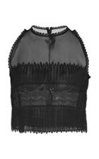 Zuhair Murad Sheer Silk Cropped Top