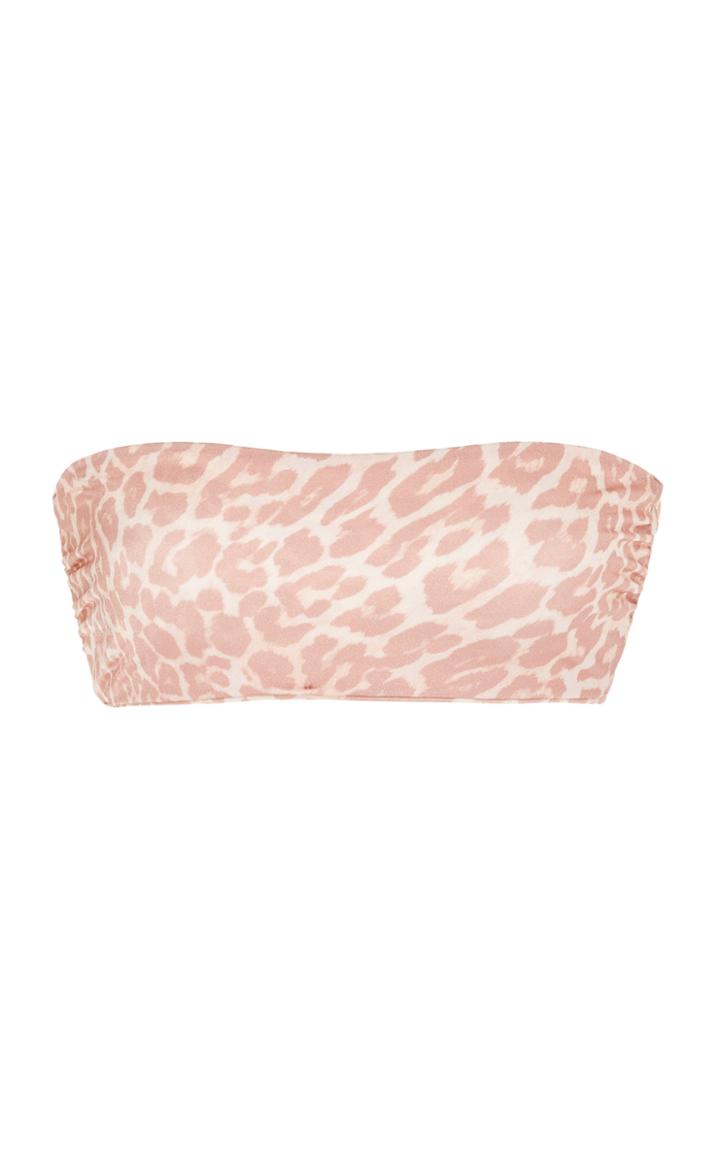 Tori Praver Royale Bandeau Mesh Top