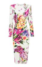 Alex Perry Manon Long Sleeve Lady Dress