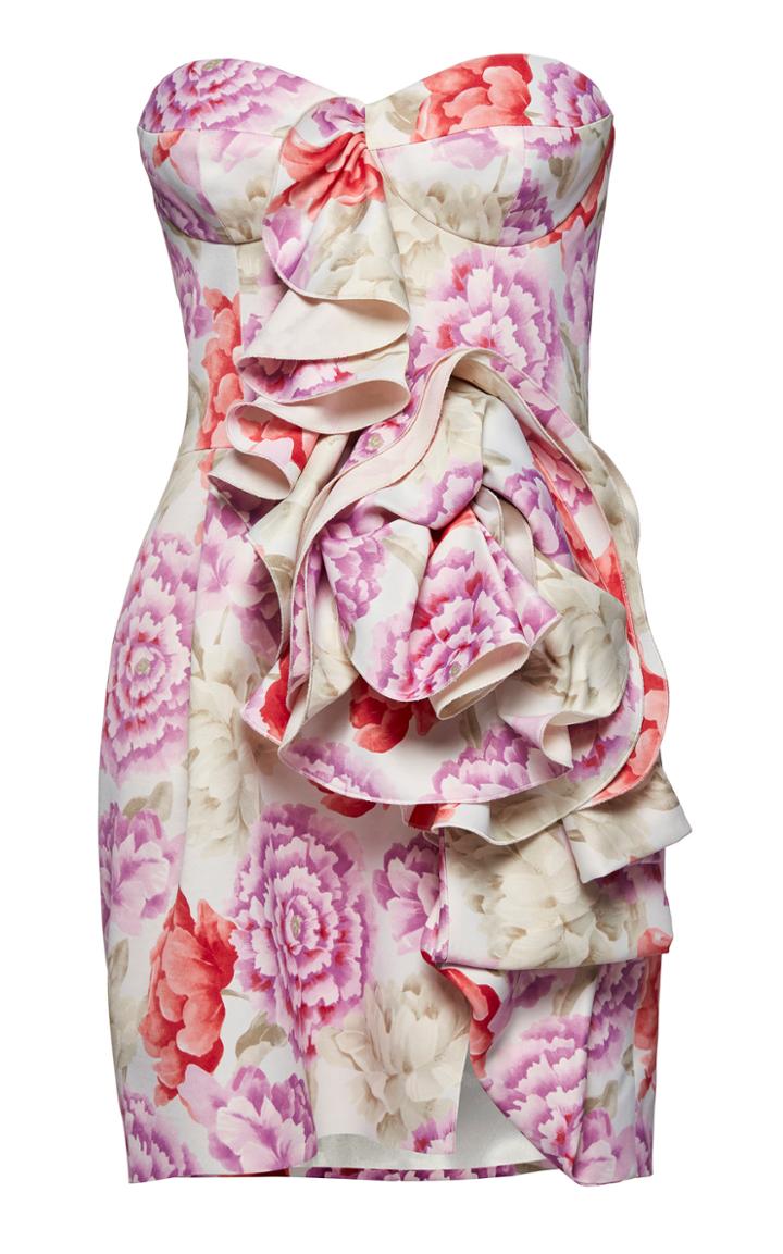 Moda Operandi Magda Butrym Ruffled Floral Mini Dress