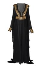 Dundas Silk Georgette Embroidered Gown