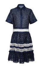Alexis Jeremy Eyelet Button-up Dress