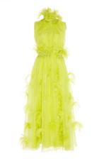 Roksanda Karea Embellished Feathered Silk Dress