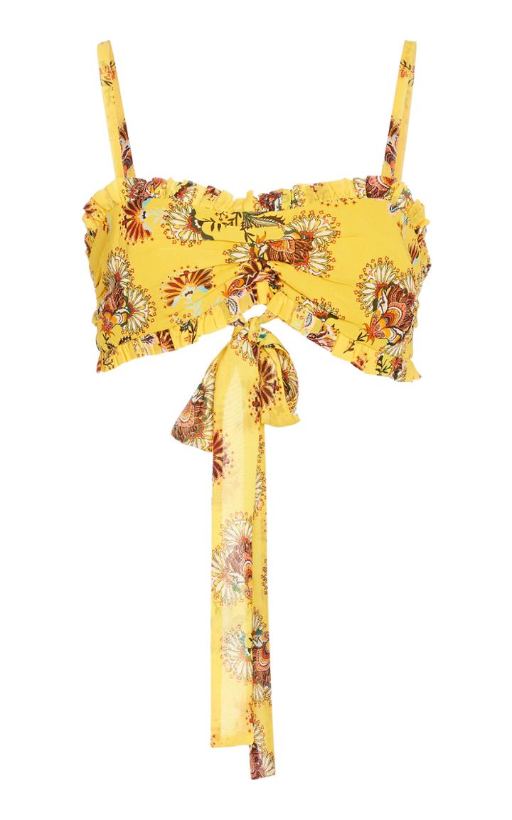 Alexis Alma Ruffled Floral-print Chiffon Top