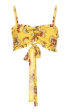 Alexis Alma Ruffled Floral-print Chiffon Top
