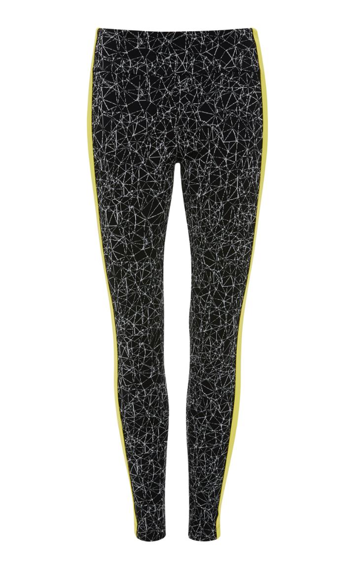 Koral Molecular Wren Legging