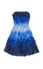 Alexandra Vidal Ombre Silk Mini Dress