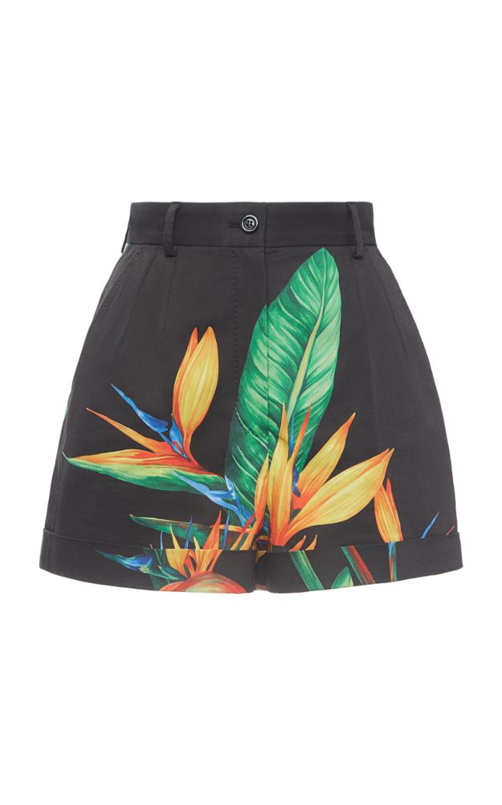 Moda Operandi Dolce & Gabbana Printed Cotton Shorts Size: 36