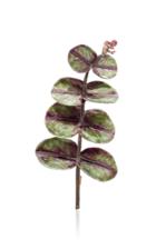 Moda Operandi Luz Camino Eucalyptus Brooch