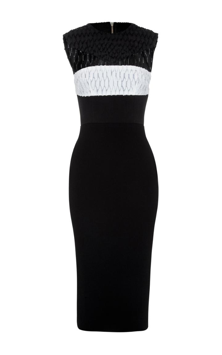 Alex Perry Gabriel Sheer Crew Lady Dress
