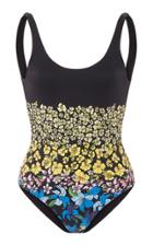 Onia Rachel Floral-print Swimsuit