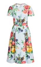 Carolina Herrera Pleated Floral-print Cotton-blend Dress