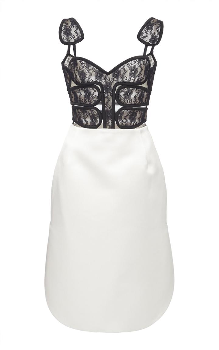 Christopher Kane Lace Bodice Knee-length Dress