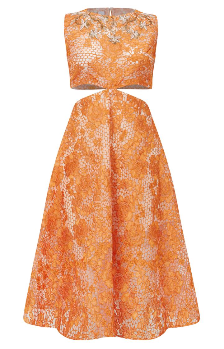 Razan Alazzouni Embroidered Lace Knee-length Dress