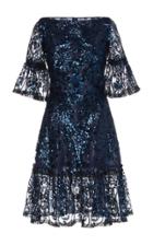 Naeem Khan Metallic-sequined Lace Fit-and-flare Dress