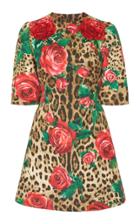 Dolce & Gabbana A-line Floral And Leopard Jacquard Mini Dress