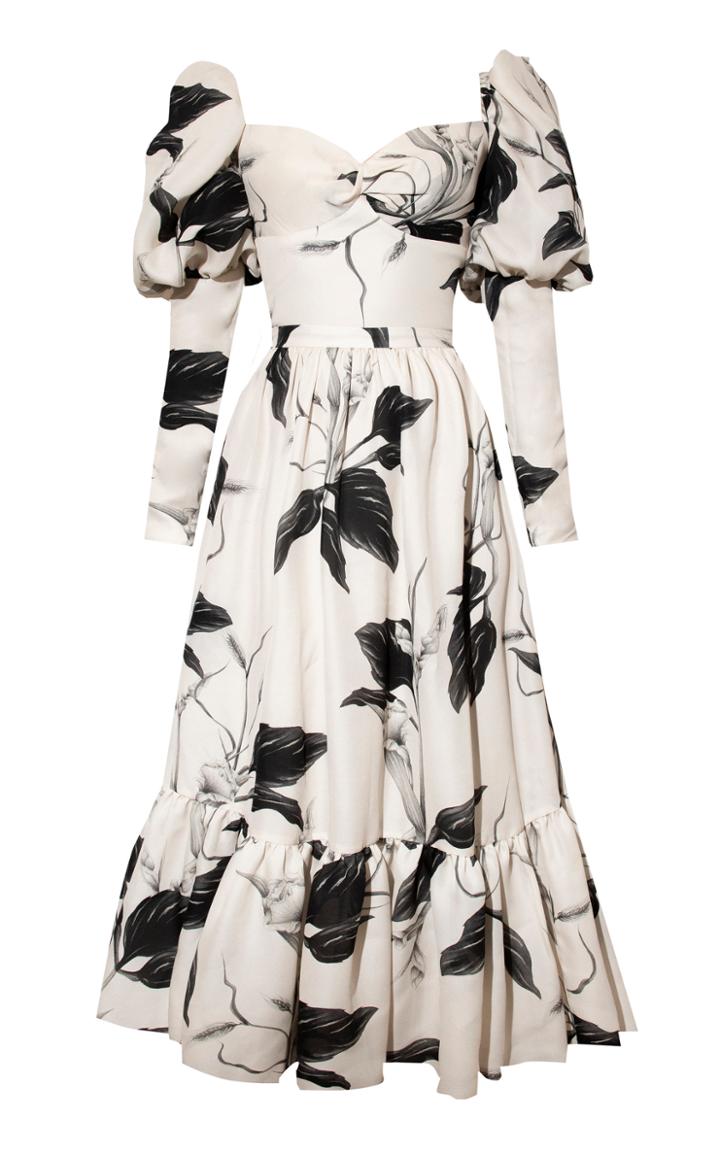 Moda Operandi Andres Otalora Mustang Printed Silk Dress