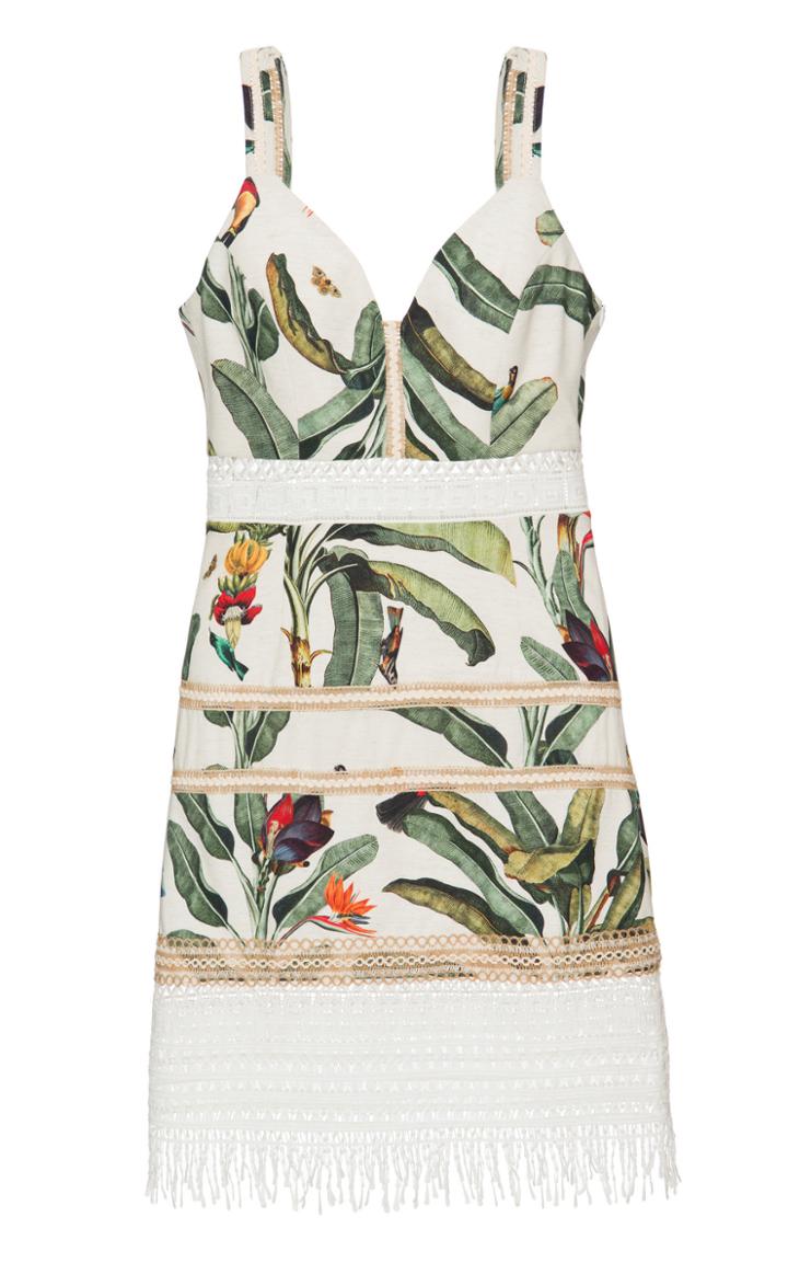 Patbo Tropical Print Lace Trim Mini Dress
