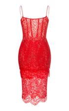 Rasario Fitted Lace Dress