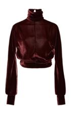 Cushnie Velvet Turtleneck Top Size: 0
